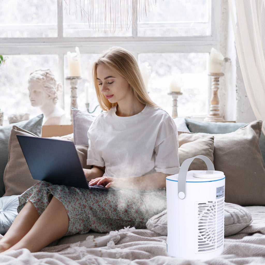 4-in-1 Evaporative Air Cooler Fan - Mist, Humidifier, USB